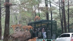 Taman Safari Pasuruan